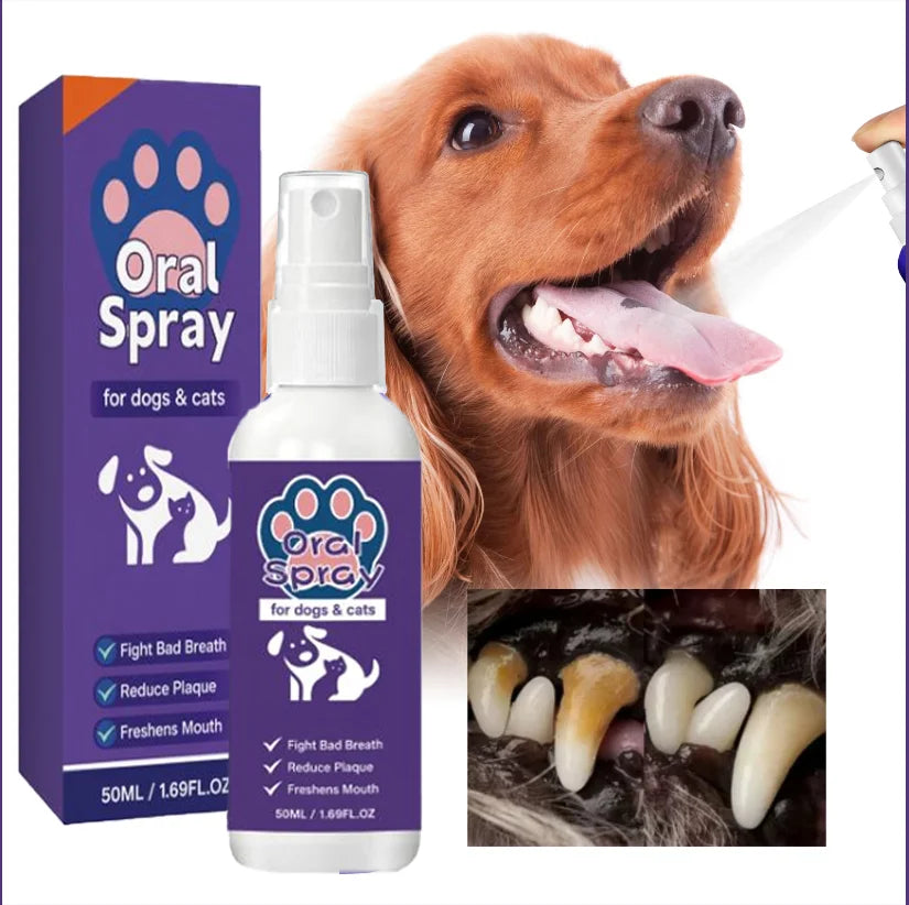 Spray bucco-dentaire pour chiens et chats – CLEVI Paris