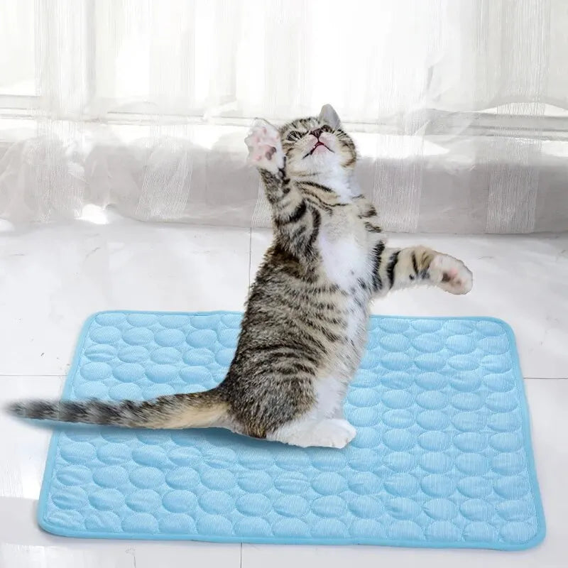 Tapis Rafraîchissant Été Chien Chat Soie Glacée Lavable 40x30 & 50x40cm – CLEVI Paris