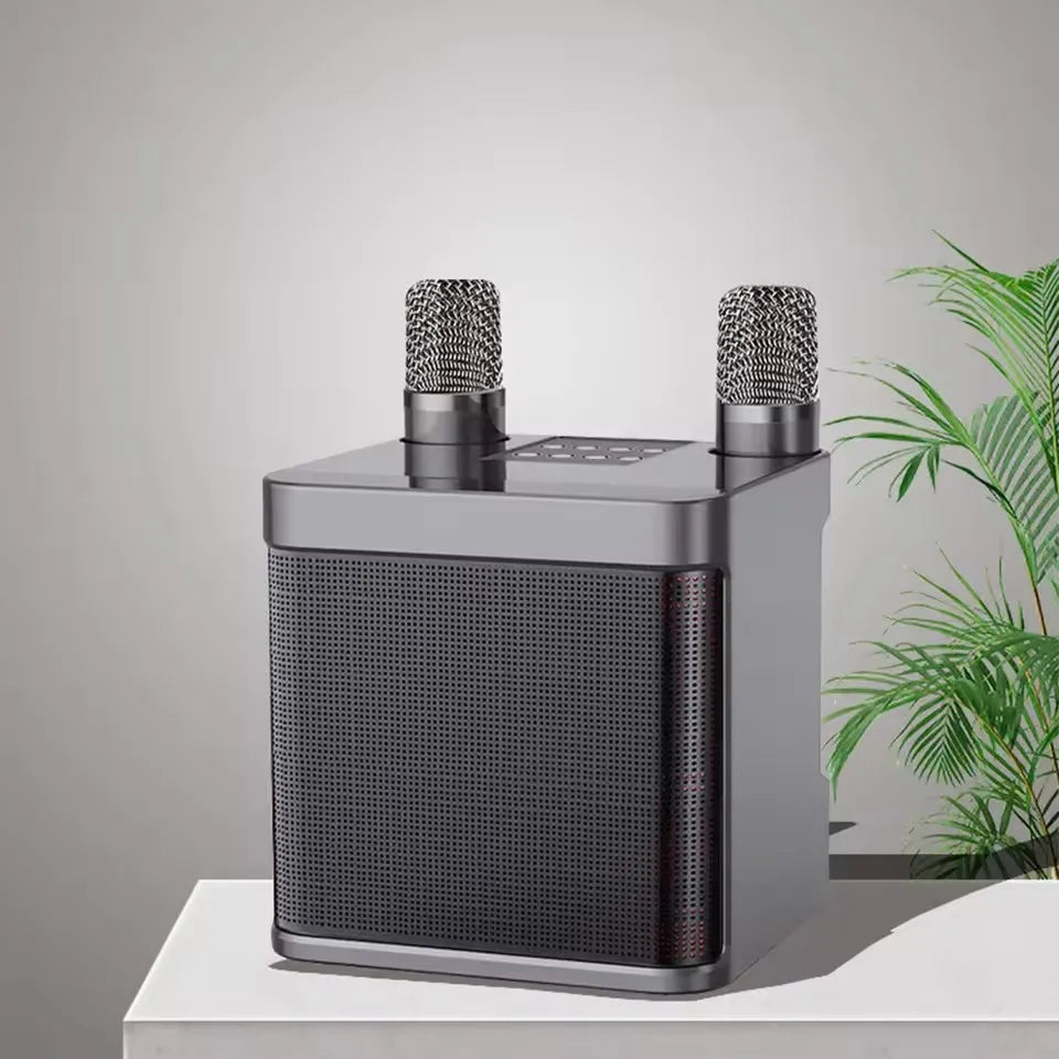 AyeBeau Enceinte Karaoké Bluetooth 5.3 10W 2 Micros Live Streaming – CLEVI Paris