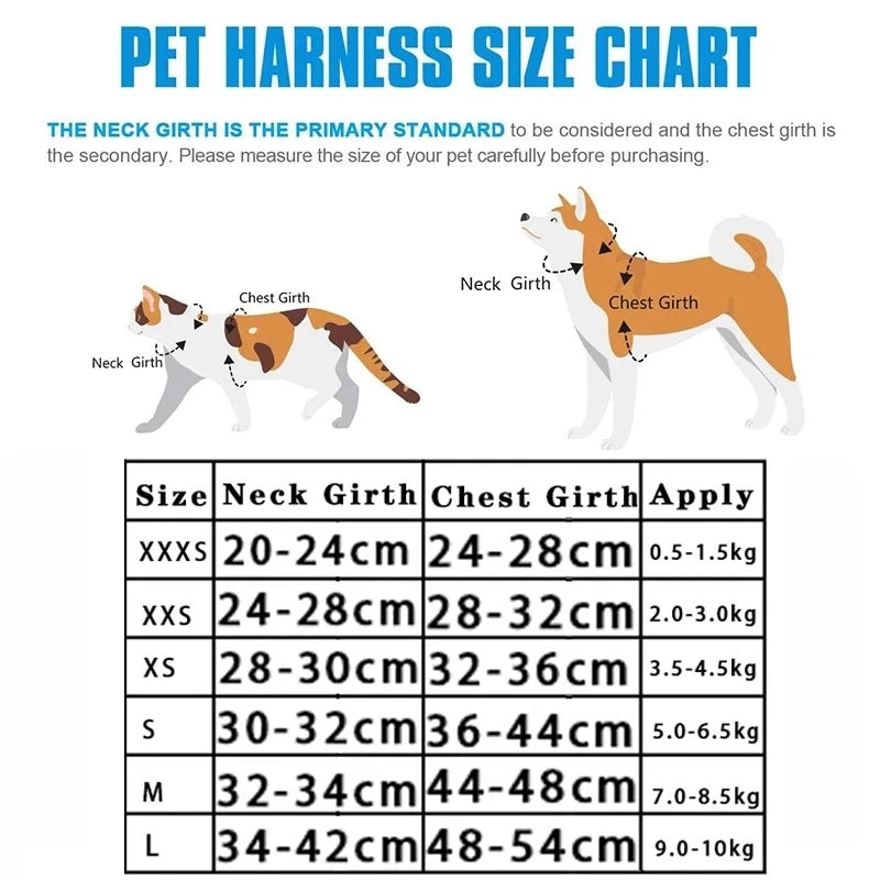 Harnais réfléchissant chat et petit chien – CLEVI Paris
